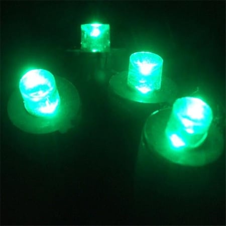 Forever Bright Kellogg Plastics 45314 0.25 in. Holiday & Christmas Indoor & Outdoor LED- Green 45314